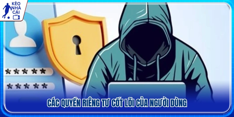 Những quyền riêng tư cơ bản mà người dùng được bảo đảm